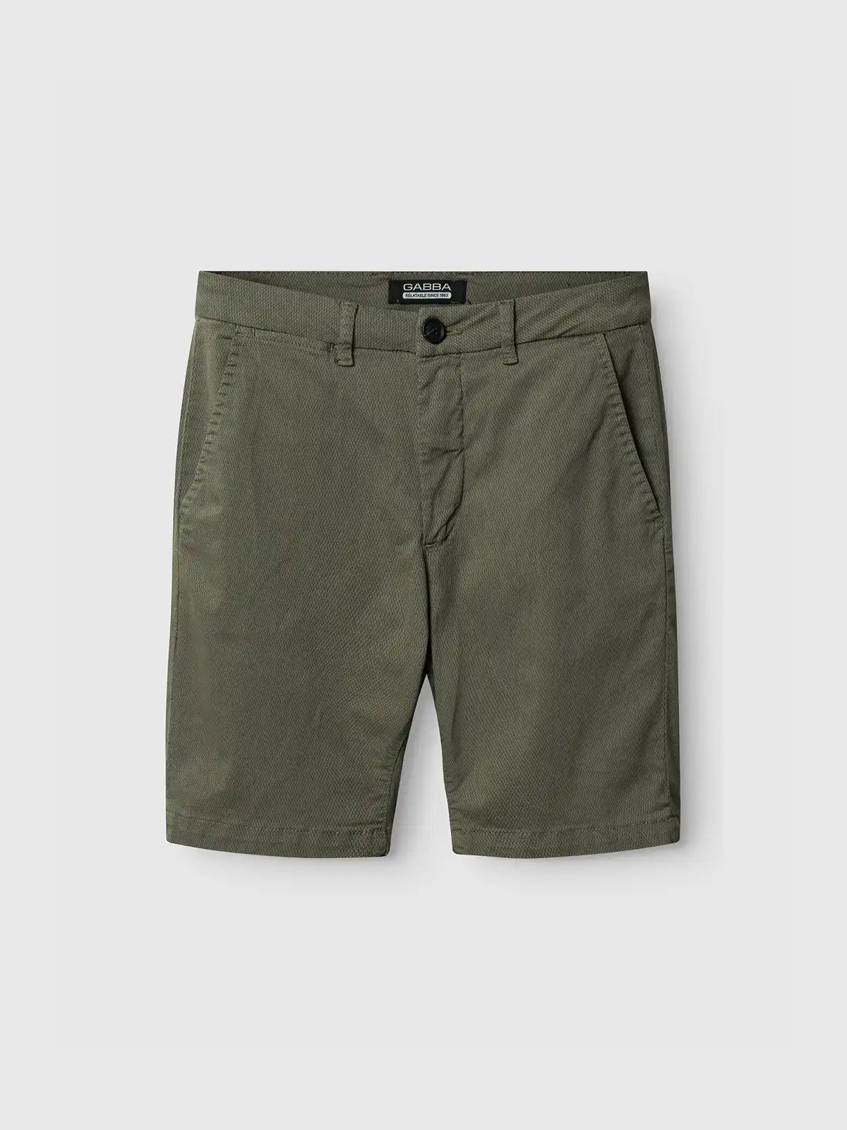 Gabba Shorts Jet K3280 Dale Deep Lichen Green