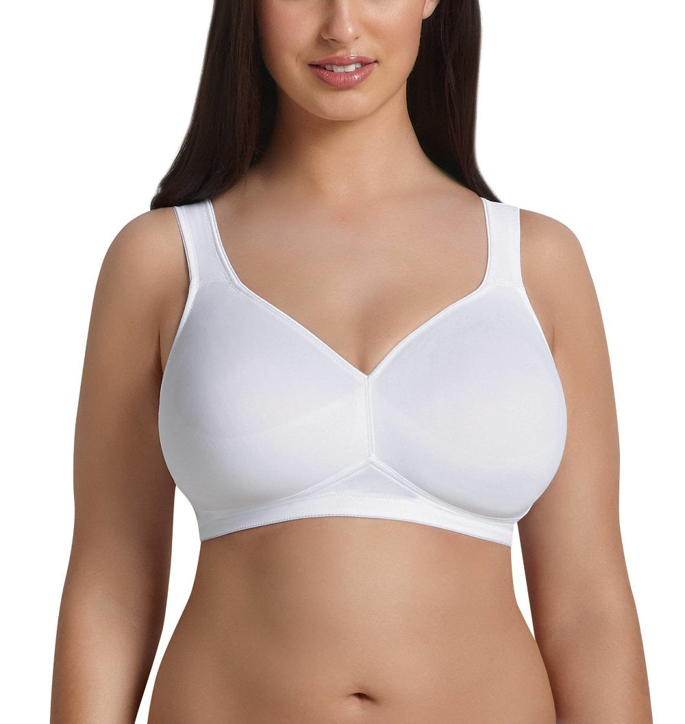 Rosa Faia BH