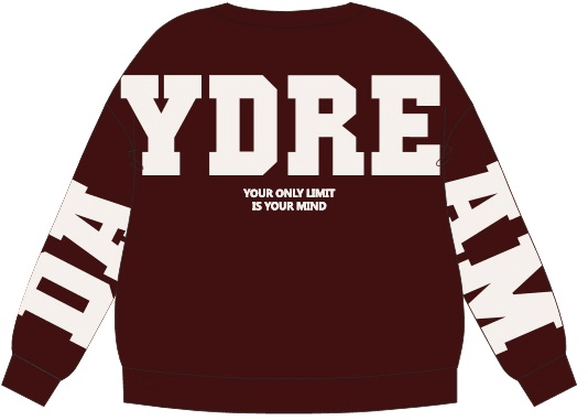 The Shirt Project Sweater Daydream Patch Sweatshirt Rot