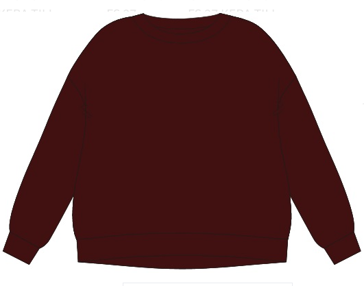 The Shirt Project Sweater Daydream Patch Sweatshirt Rot