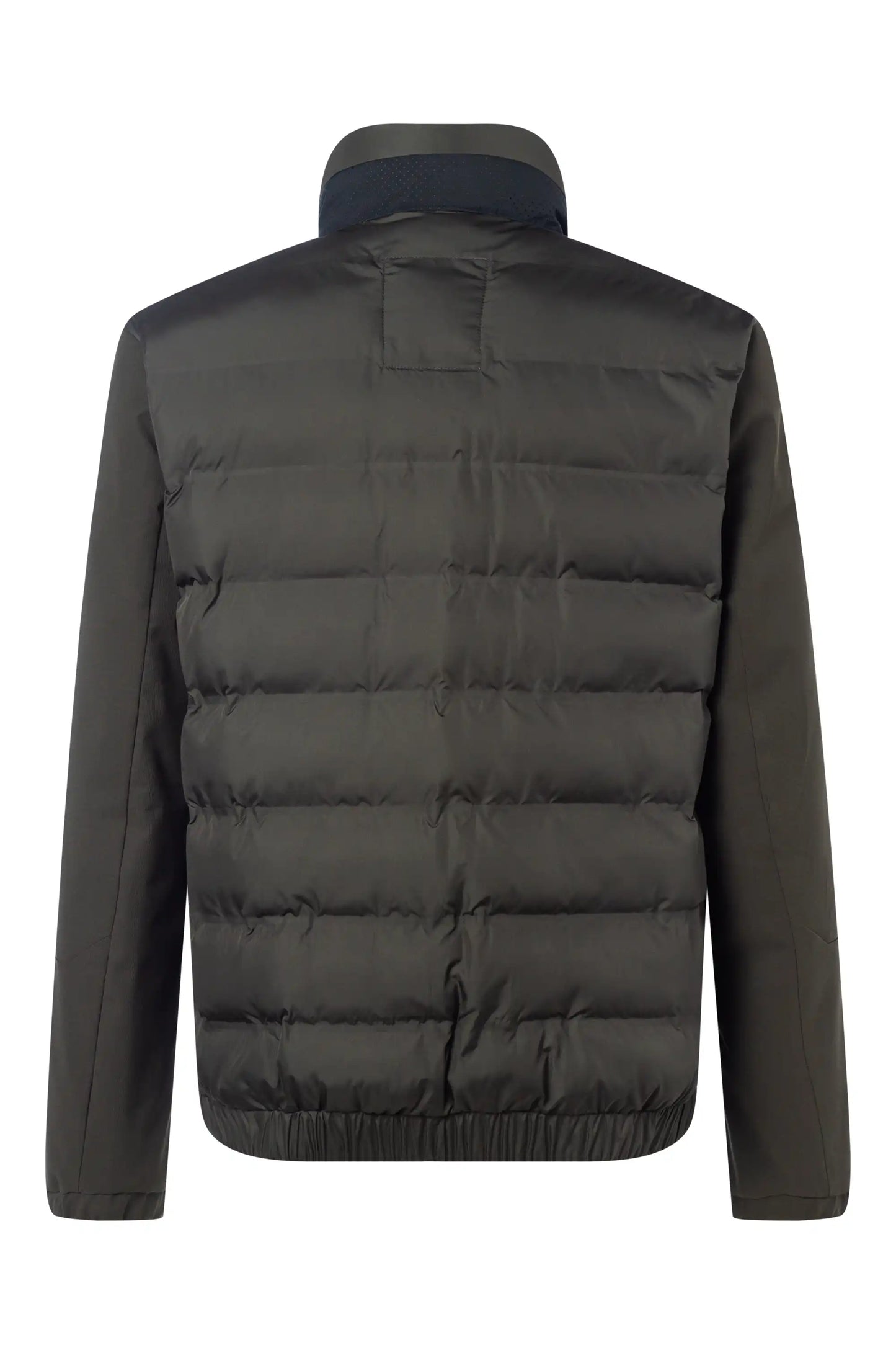 Strellson Jacke Sport in der Farbe Oliv
