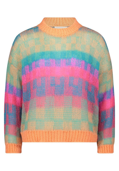 Cartoon Pullover in der Farbe Bunt