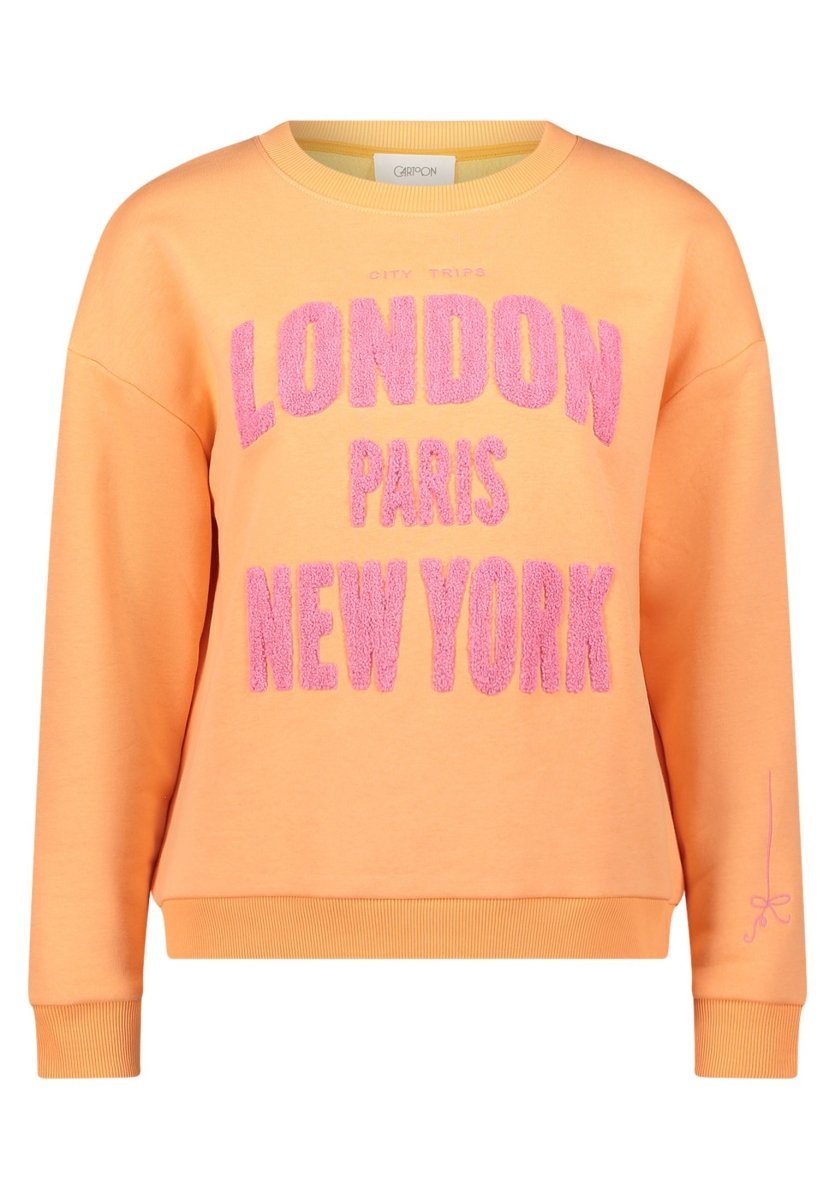 Cartoon Swaetshirt in der Farbe pink/orange