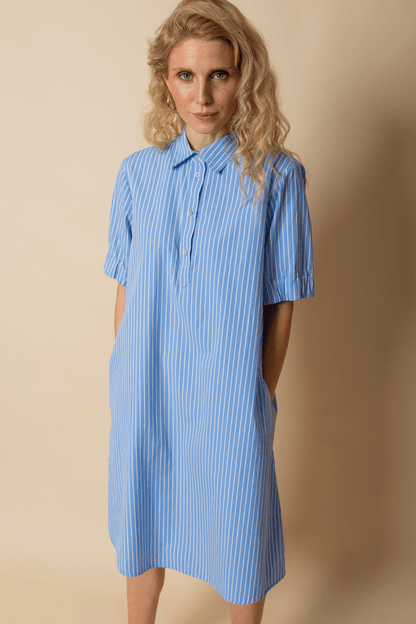 Emily Van Den Bergh Damenkleid in der Farbe bleu stripe