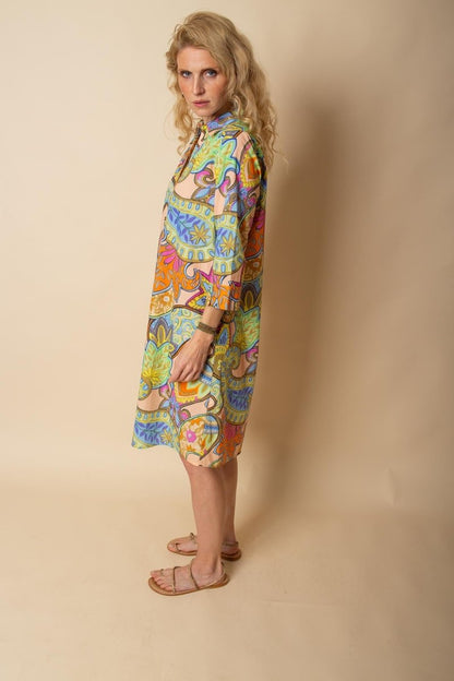 Emily Van Den Bergh Damenkleid in der Farbe multi paisley