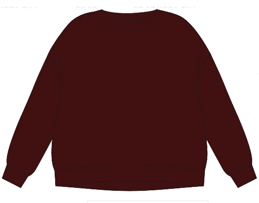 The Shirt Project Sweater Daydream Patch Sweatshirt Rot